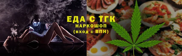 индика Бородино