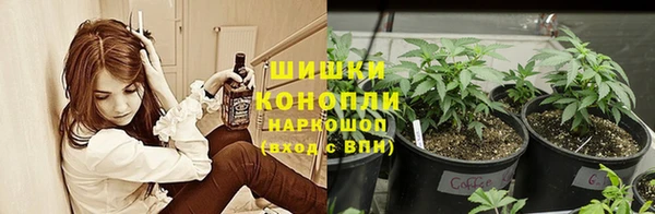 винт Богородицк